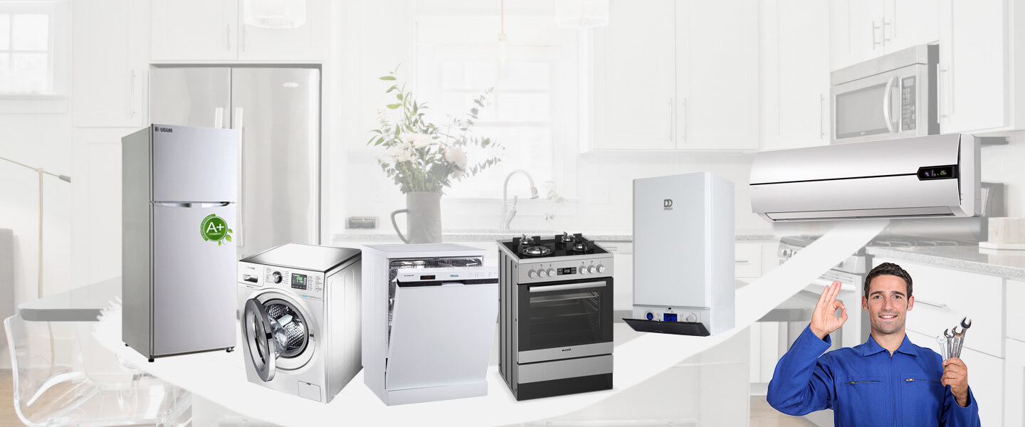 Aliağa Electrolux Servisi